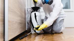 Best Indoor Pest Control  in Black Creek, WI